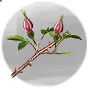 Icon for item "Briar Buds"
