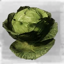 Icon for item "Cabbage"