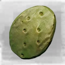 Icon for item "Trozo de cactus"