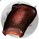 Icon for item "Chitin Plate"