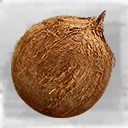 Icon for item "Coconut"