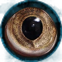 Icon for item "Cod Eye"