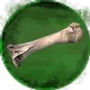 Icon for item "Strong Animal Bone"