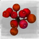 Icon for item "Cranberry"
