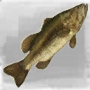 Icon for item "Large Bass"