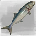 Icon for item "Large Bluefish"