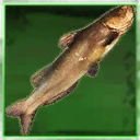 Icon for item "Large Catfish"