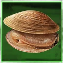 Icon for item "Clam"