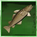 Icon for item "Medium Cod"