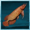 Icon for item "Medium Dragon Fish"