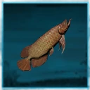 Icon for item "Small Dragon Fish"