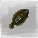Icon for item "Small Flounder"