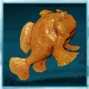Icon for item "Medium Frogfish"