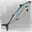 Icon for item "Large Mackerel"