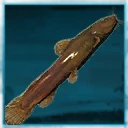 Icon for item "Large Madtom"