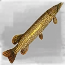 Icon for item "Large Pike"