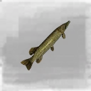 Icon for item "Small Pike"