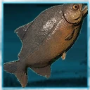 Icon for item "Piranha grande"