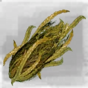 Icon for item "Seaweed"