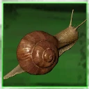 Icon for item "Aquatic Snail"