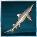 Icon for item "Średni rekin żarłaczowaty"