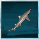 Icon for item "Mały rekin żarłaczowaty"