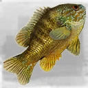Icon for item "Large Sunfish"