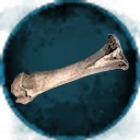 Icon for item "Unusual Bone"