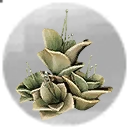 Icon for item "Agallas de floragalla"