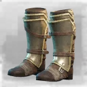 Icon for item "Waterlogged Greaves"