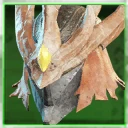 Icon for item "Chitin Heavy Plate Helm"