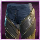 Icon for item "Heartgem Monarch's Pants of the Soldier"