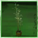 Icon for item "Living Bamboo Planter"