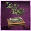 Icon for item "Stroik z drzewka bonsai"