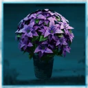 Icon for item "Convergence Poinsettia"