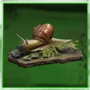 Icon for item "Aquatic Snail - Small Memento"