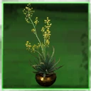 Icon for item "Blooming Agave Plant"