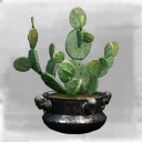 Icon for item "Potted Opuntia Cactus"
