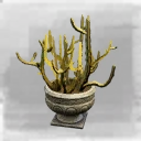 Icon for item "Potted Triangle Cactus"