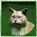 Icon for item "Lynx brun d'intérieur"