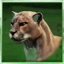 Icon for item "Domiciliary Brown Puma"