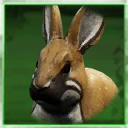 Icon for item "Udomowiony brązowy królik"