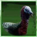 Icon for item "Pavo común doméstico"