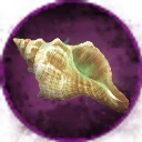 Icon for item "Coquillage raffiné"