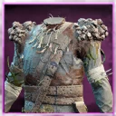 Icon for item "Brined Chestguard of the Sentry"