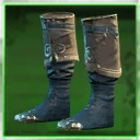 Icon for item "Helmsman's Shoes"