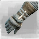 Icon for item "Guardian Flanker Gloves"