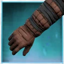 Icon for item "Handschuhe des wilden Anglers"