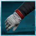 Icon for item "Provender's Gloves"