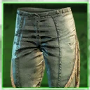Icon for item "Chitin Cloth Pants"